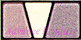 NEW�C���V�X�g�mINSIST���C�N�A�b�v�V���[�Y�n�x�[�V�b�N�J���[�A�C�YE08