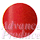 NEW�C���V�X�g�mINSIST���C�N�A�b�v�V���[�Y�n�x�[�V�b�N�J���[���b�vRD100