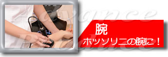 ^[{\jbN Lr| [Cavi-Lipo]yƖpLre[Vigjg@FbRāE^{EZCg΍zFr@zb\̘r