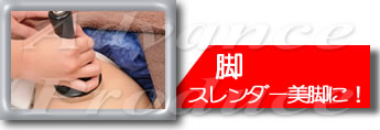 ^[{\jbN Lr| [Cavi-Lipo]yƖpLre[Vigjg@FbRāE^{EZCg΍zFr@X_[r